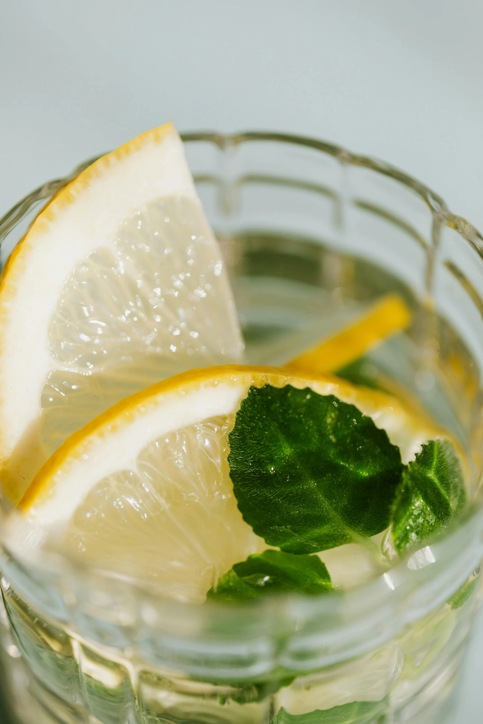 a glass of water with lemon slices and mint leaves, by Carey Morris, pexels, renaissance, zoomed in, subtle details, detail shot, portrait n - 9