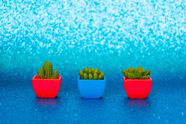 three small potted plants on a blue surface, a tilt shift photo, inspired by David Hockney, trending on unsplash, robotic cactus design, red and blue neon, snacks, glitter