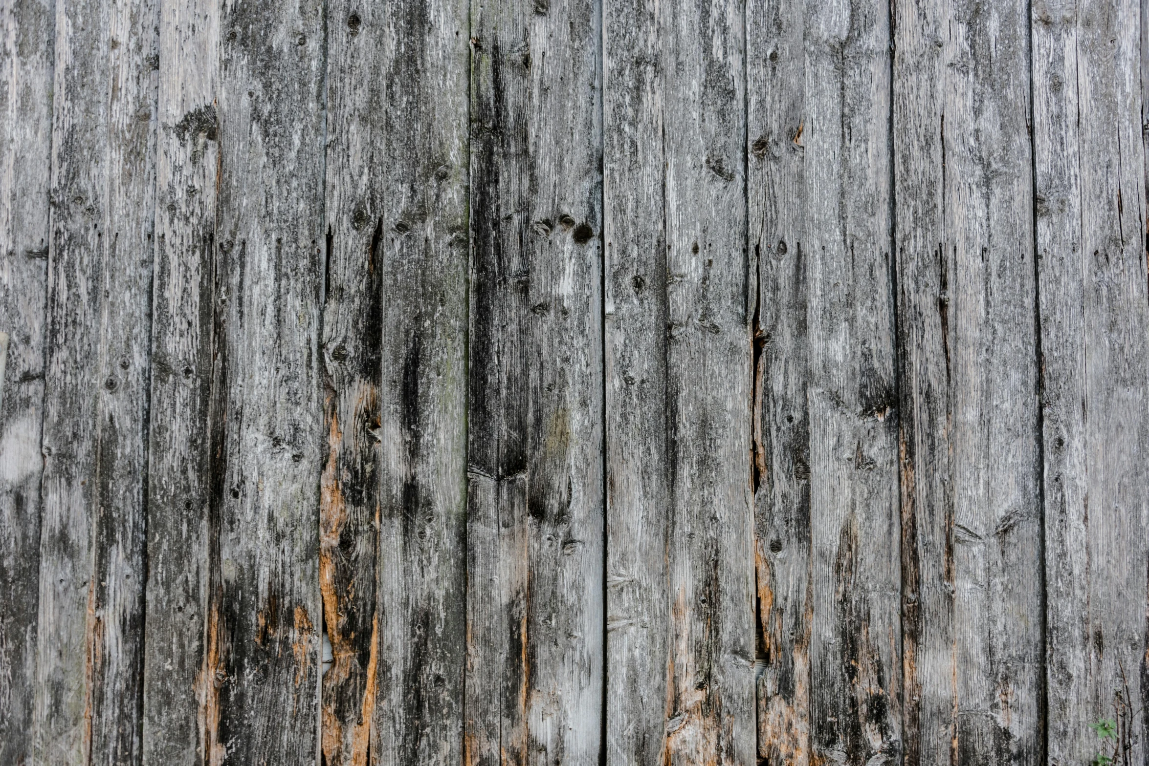 a close up of a wooden wall with peeling paint, unsplash, background image, gray, burnt huts, grain”