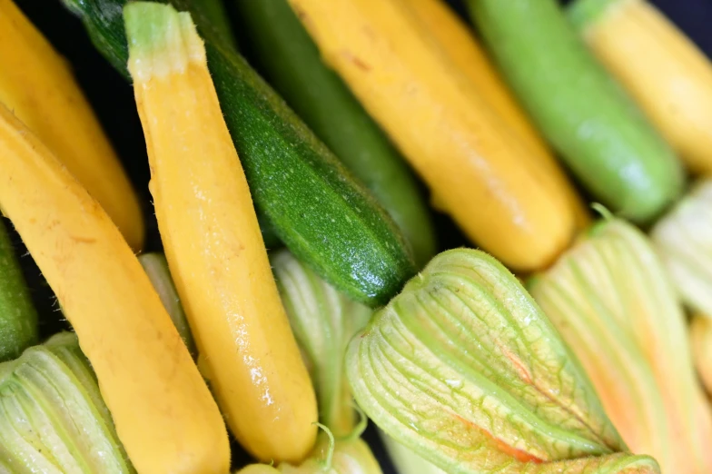 a close up of a bunch of squash and zucchini, renaissance, square, fan favorite, image