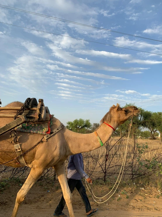 a man walking a camel down a dirt road, profile image, ghutra and egal, thumbnail, at home