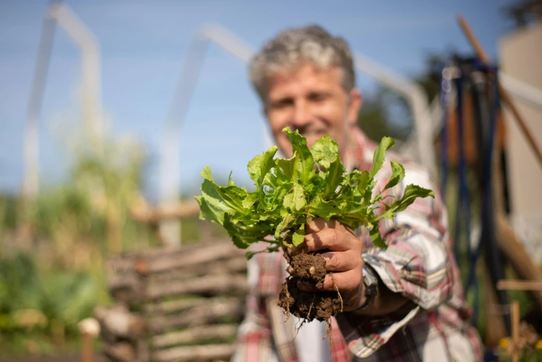 a man holding a bunch of lettuce in his hands, by Jan Tengnagel, pexels contest winner, renaissance, holding a wooden staff, ecovillage, avatar image, australian