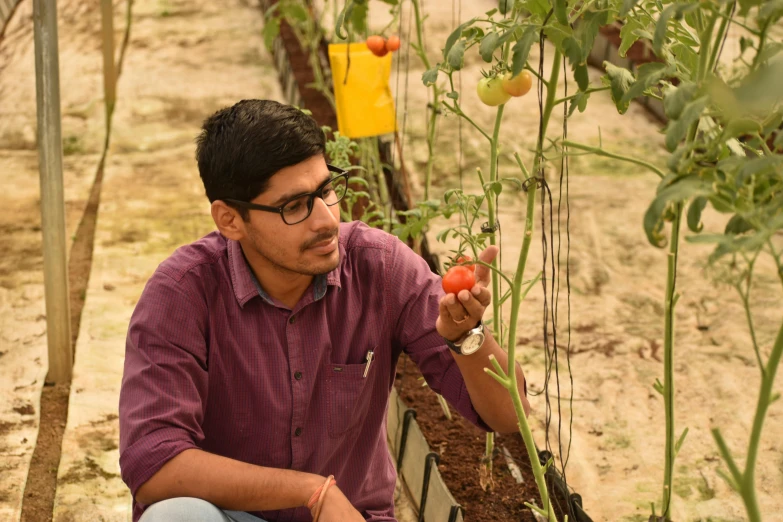 a man kneeling down next to a tomato plant, a portrait, pexels contest winner, vastayan, avatar image, student, profile picture