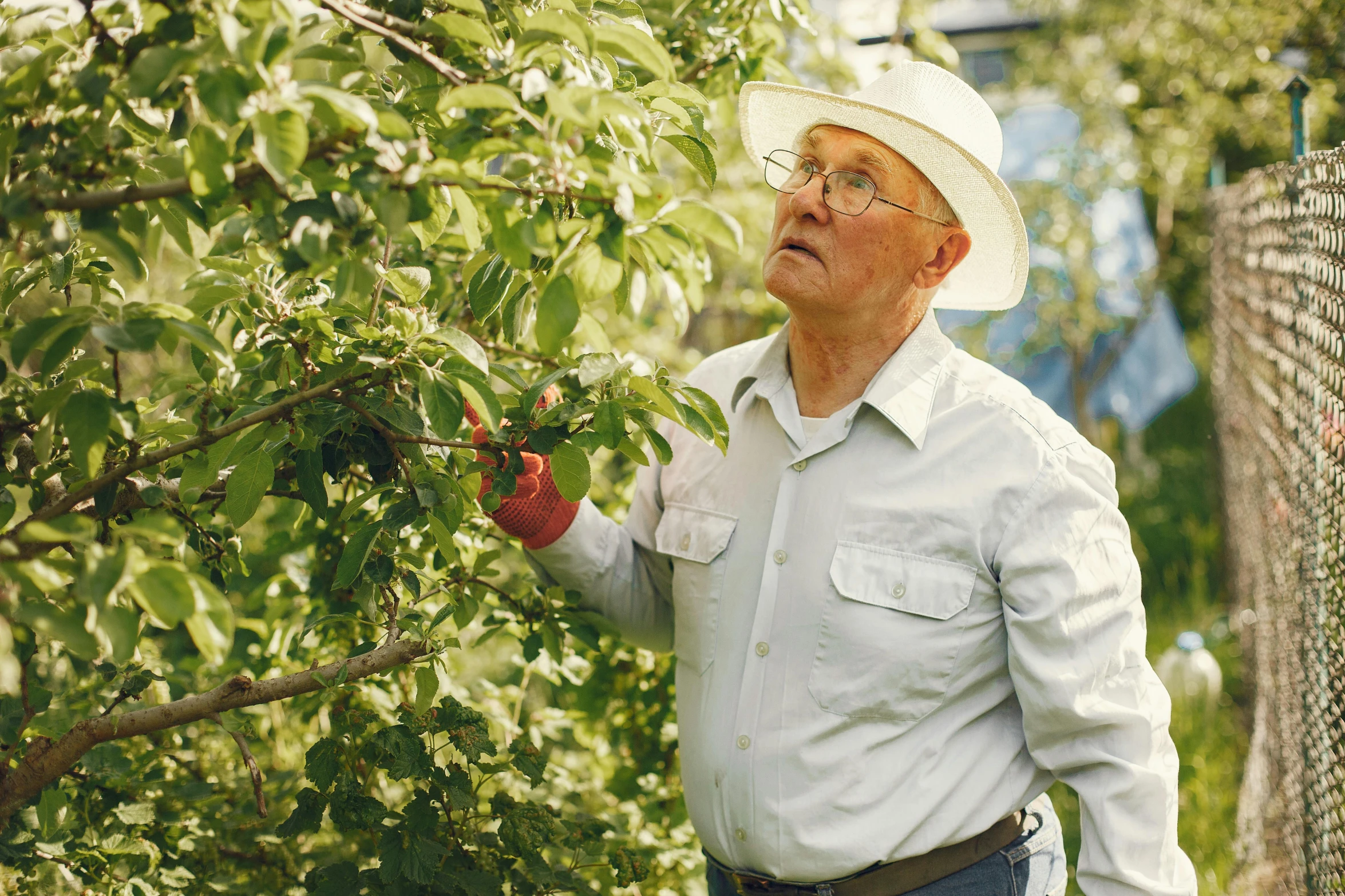 a man in a hat standing next to a tree, fruit trees, profile image, maintenance photo, ap news photograph