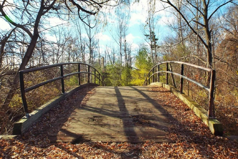 a bridge in the middle of a wooded area, long shadows, instagram photo, guardrail, fall season