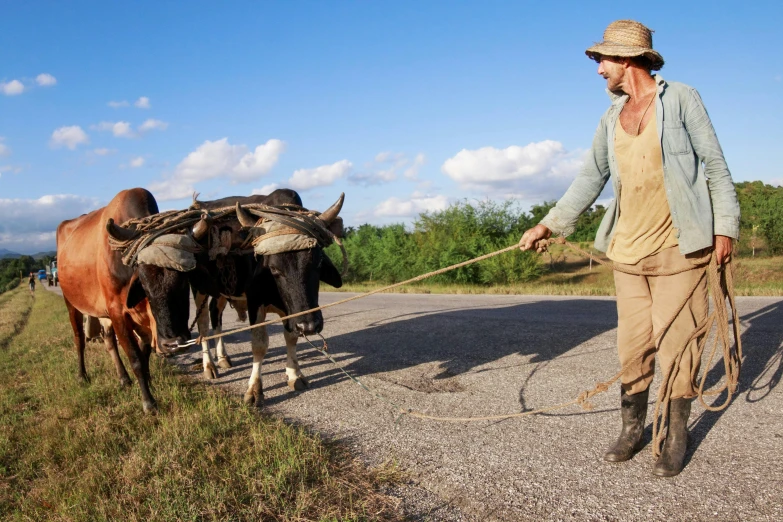a man leading a herd of cattle down a road, by Alexander Runciman, pexels contest winner, renaissance, cuban setting, dragging a pile of chains, avatar image, frans lanting