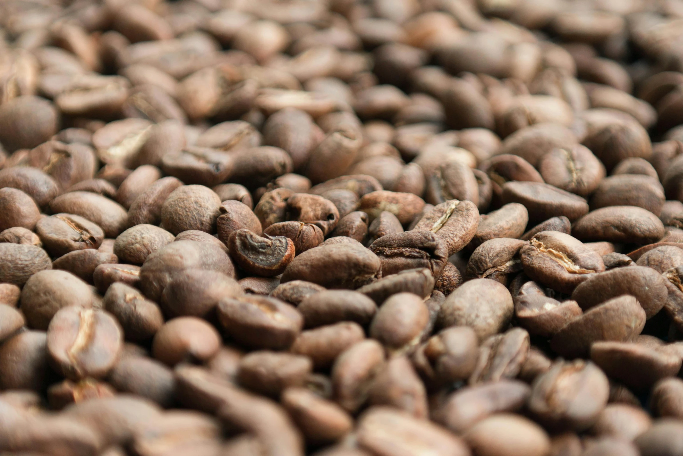 a pile of coffee beans sitting on top of each other, by Carey Morris, uncrop, thumbnail, angled shot