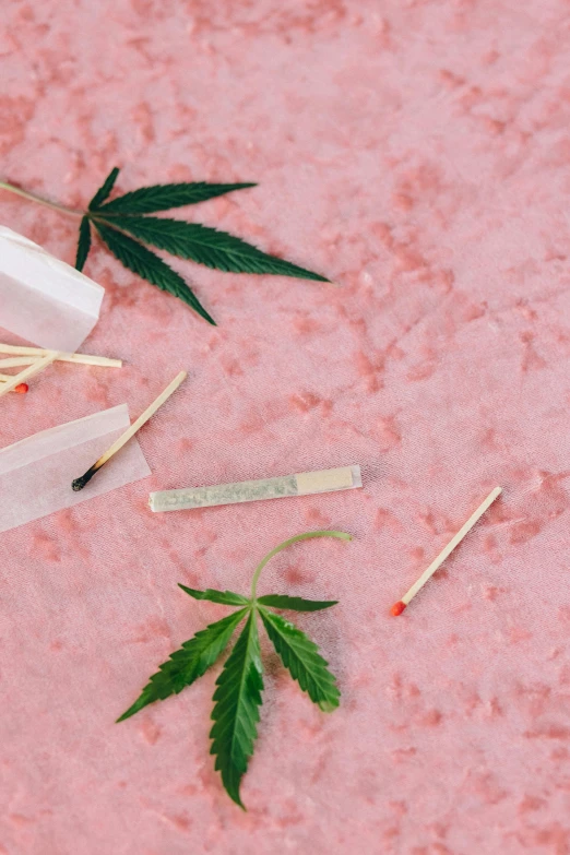 a bunch of toothbrushes sitting on top of a pink surface, an album cover, by Elsa Bleda, unsplash, conceptual art, marijuana leaf, made of lab tissue, chopsticks, thumbnail