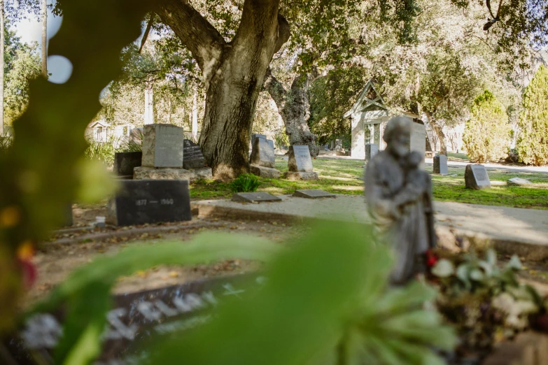 a cemetery with a statue in the foreground, by Winona Nelson, unsplash, lots of oak and olive trees, ground level camera view, a green, ignant