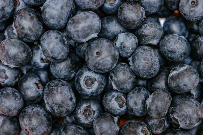 a close up of a bunch of blueberries, pexels, 🦩🪐🐞👩🏻🦳, 2 5 6 x 2 5 6 pixels, grey, stacked image