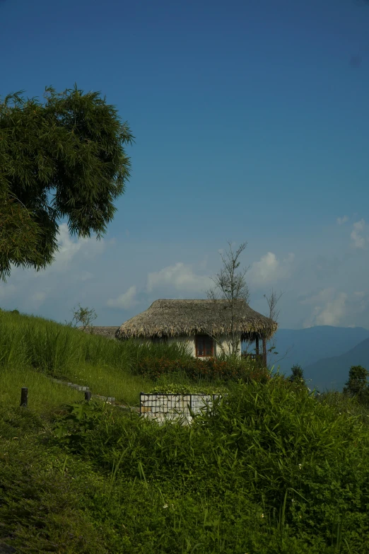 a small hut sitting on top of a lush green hillside, assam tea garden setting, visible from afar!!, guwahati