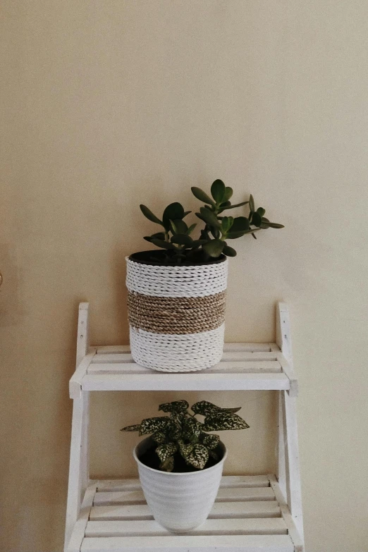 a white shelf with a potted plant on top of it, pexels contest winner, recycled, low quality photo, weaving, concept photo