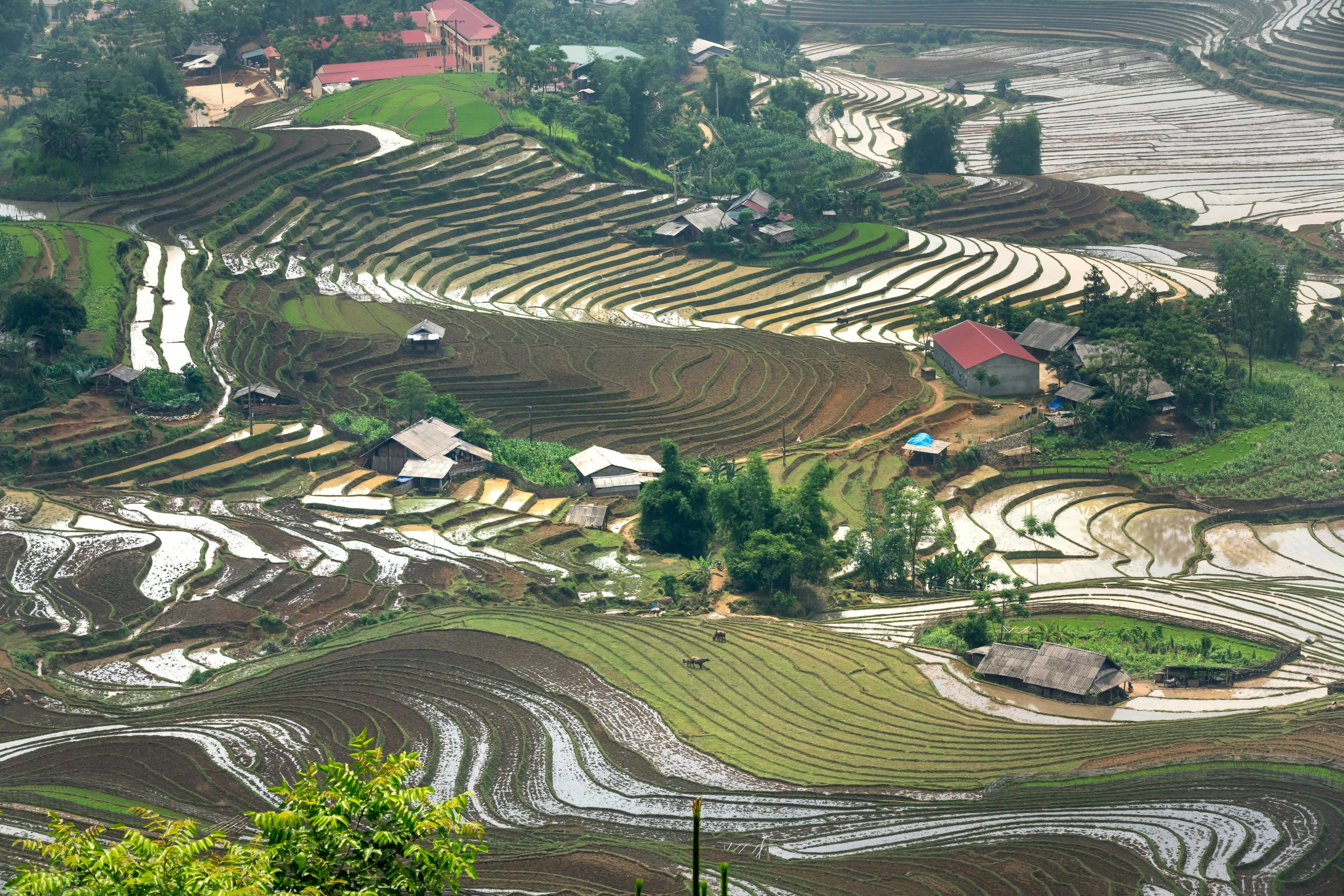 a group of people standing on top of a lush green hillside, pexels contest winner, land art, vietnam war, terraced orchards and ponds, patchwork, aerial iridecent veins