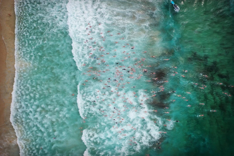 a group of people swimming in the ocean, by Daniel Lieske, pexels contest winner, gold coast australia, teal aesthetic, sea of milk, thumbnail