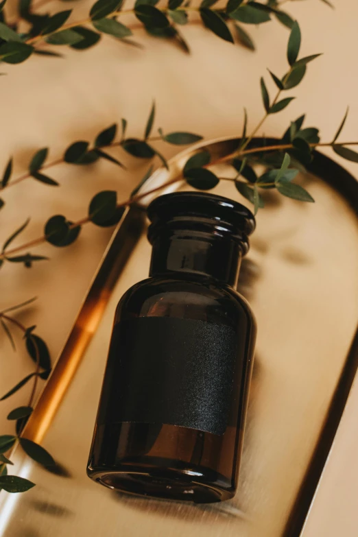 a bottle of ink sitting on top of a wooden tray, trending on pexels, renaissance, relaxed. gold background, eucalyptus, thumbnail, skincare