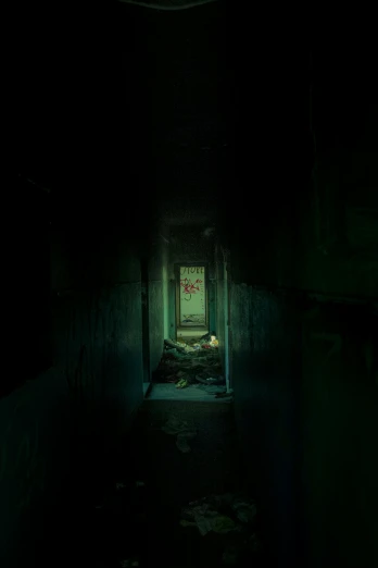 a dark hallway with a light at the end of it, an album cover, deviantart, conceptual art, sickly green colors, back alley, snapchat photo, dirk dzimirsky