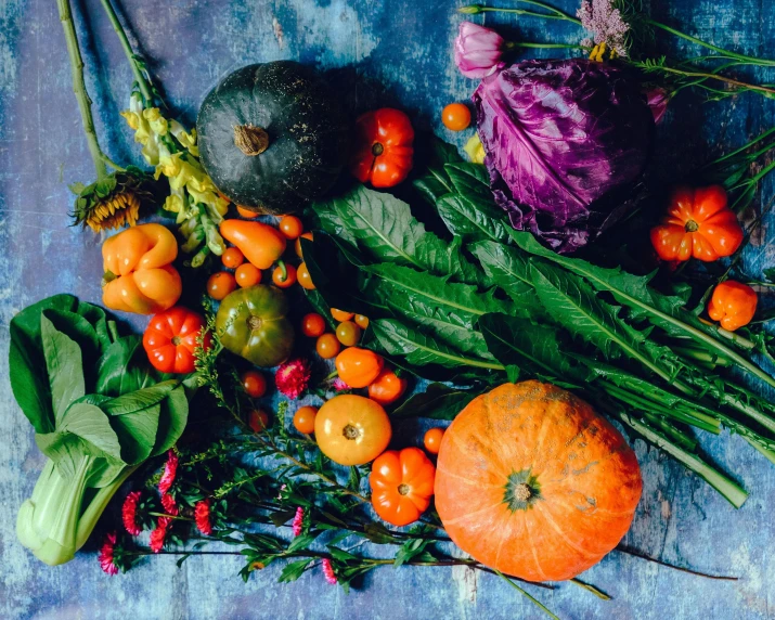 a bunch of vegetables sitting on top of a table, pexels contest winner, renaissance, orange and turquoise and purple, green and red plants, avatar image, flatlay