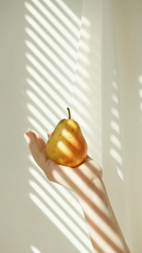 a person holding a pear in their hand, an album cover, inspired by Elsa Bleda, unsplash, photorealism, soft light through blinds, 15081959 21121991 01012000 4k, volumetric sunlight, rinko kawauchi