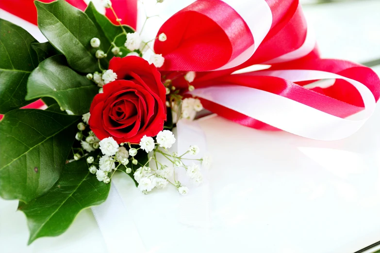 a red rose sitting on top of a white car, ribbon, red and white flowers, photo of a rose, laying down