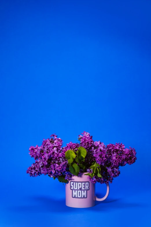 a vase filled with purple flowers on a blue background, an album cover, unsplash, hyperrealism, superhero, lilacs, super high resolution, normal map