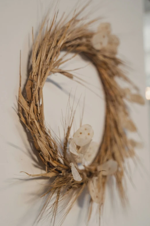 a close up of a wreath on a wall, by Nina Hamnett, sea shell, hay, - 9, lightweight