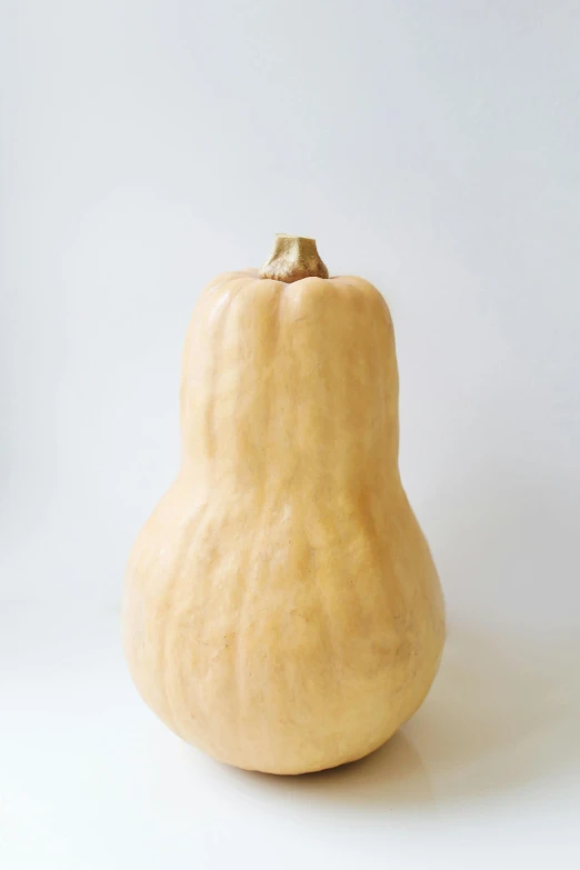 a close up of a squash on a white surface, a pastel, by Tsuruko Yamazaki, unsplash, mingei, 155 cm tall, slightly tanned, on clear background, a cozy