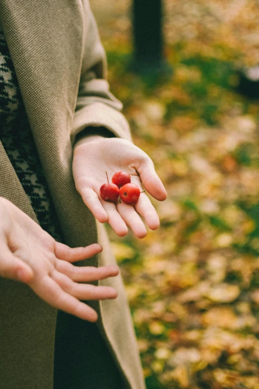 a woman holding a handful of raspberries in her hands, inspired by Elsa Bleda, pexels, visual art, 🍂 cute, red hearts, renaissance autumnal, holding hands
