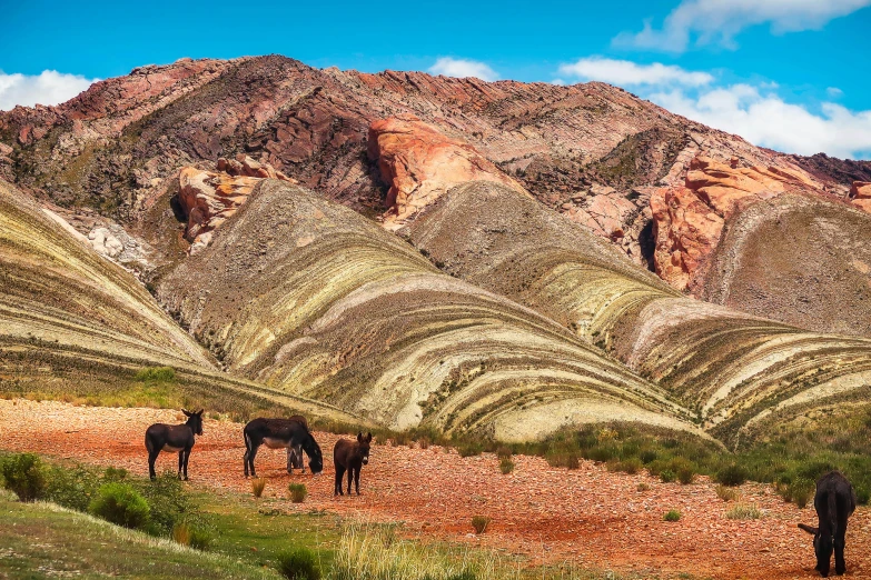 a herd of horses standing on top of a dirt field, by Julia Pishtar, pexels contest winner, art nouveau, landscape with red mountains, neo - andean architecture, full of colorful vegetation, geological strata