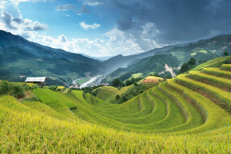 a rice field with mountains in the background, pexels contest winner, renaissance, staggered terraces, avatar image, panoramic, vray 8k