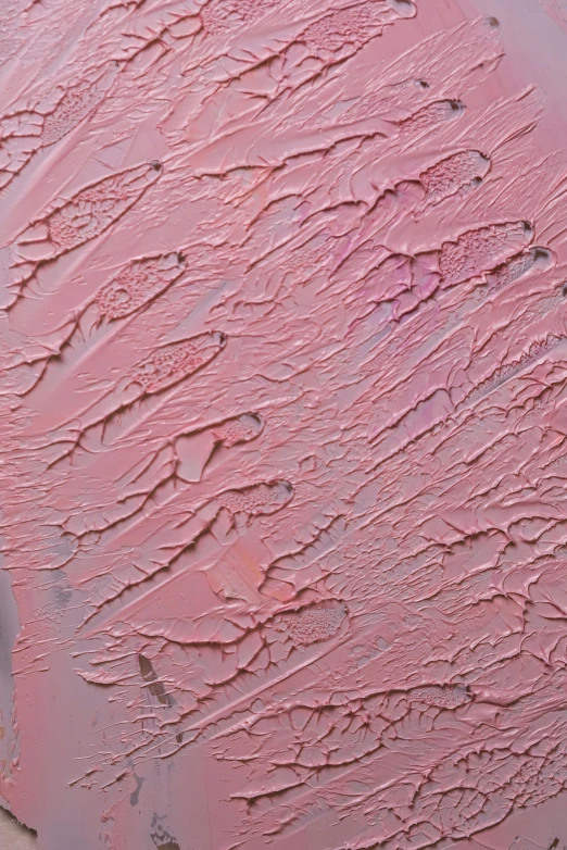 a close up of a plate of food on a table, an album cover, inspired by Lucio Fontana, trending on pexels, conceptual art, covered in pink flesh, textured oil on canvas, detail texture, sea of parfait