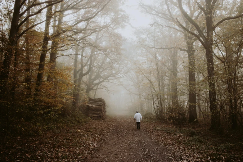 a person walking down a path in the woods, by Lucia Peka, pexels contest winner, dressed in an old white coat, brown mist, 2 5 6 x 2 5 6 pixels, 'silent hill '