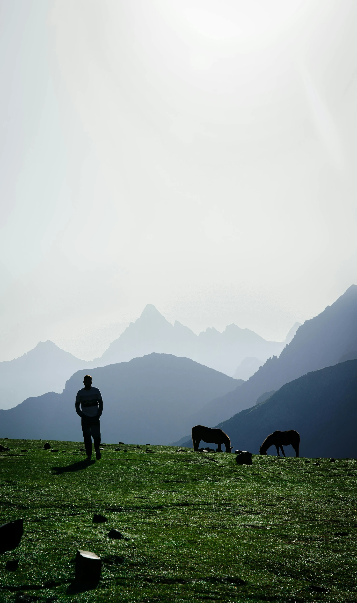 a man standing on top of a lush green hillside, an album cover, by Matthias Weischer, pexels contest winner, both men and cattle, siluettes, alps, grey