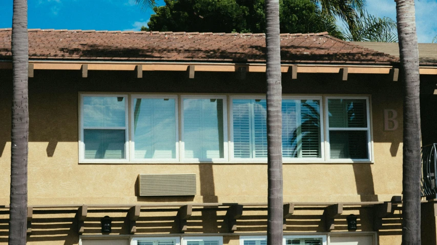 a fire hydrant in front of a house with palm trees, unsplash, wires hanging across windows, brown and white color scheme, background image, multiple stories