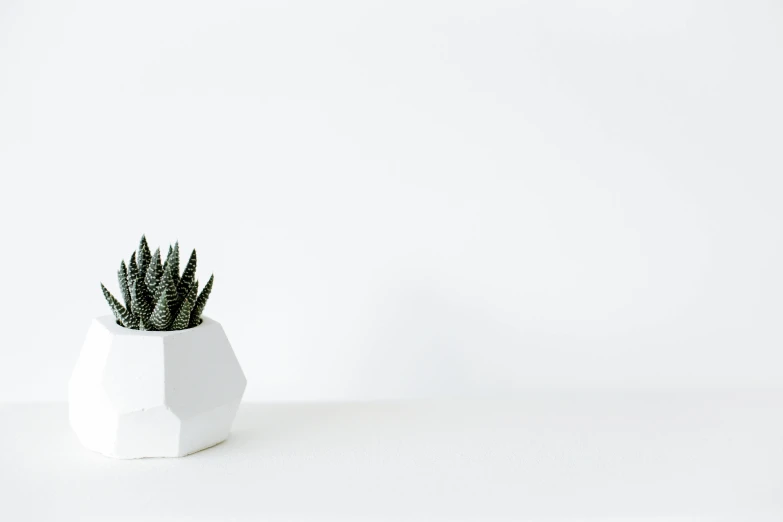 a small potted plant sitting on a white surface, trending on unsplash, minimalism, hexagonal, background image, robotic cactus design, sleek white