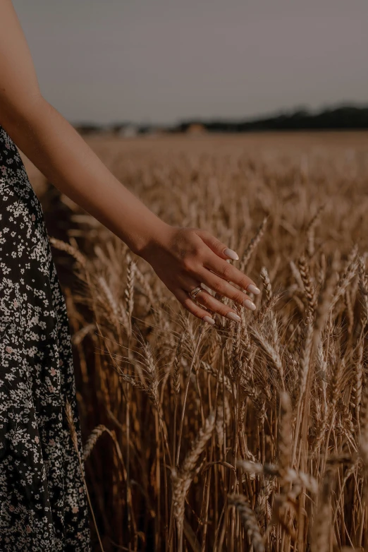 a woman standing in a field of wheat, trending on unsplash, across holding a hand, low quality photo, brown, multiple stories