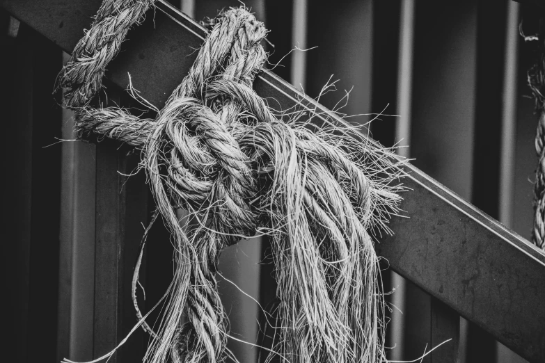 a black and white photo of a rope, a black and white photo, pexels, conceptual art, decoration, black and white hair, a wooden, trimmed