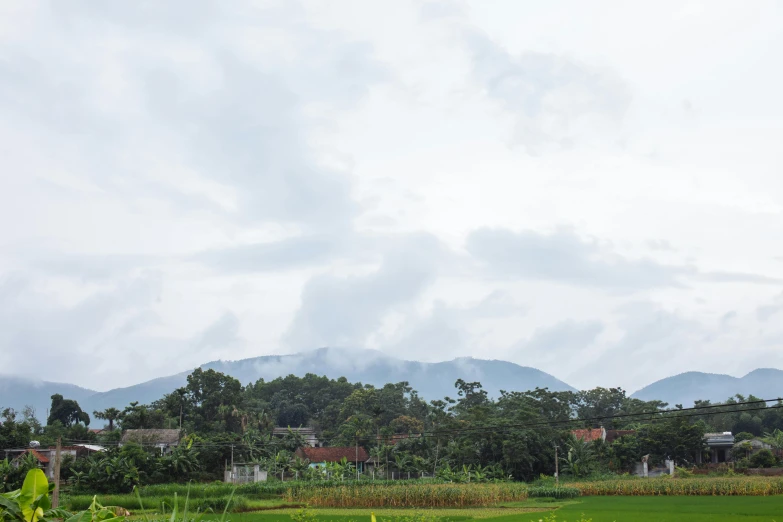 a field of green grass with mountains in the background, a picture, unsplash, sumatraism, background image, neighborhood, vietnam, seen from a distance