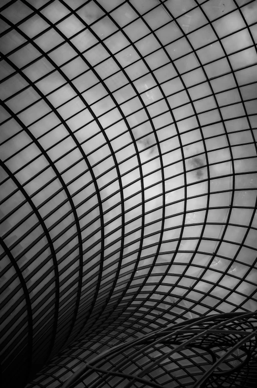 a black and white photo of a train station, inspired by Andreas Gursky, light and space, rounded roof, ( ( abstract ) ), square, full of glass. cgsociety