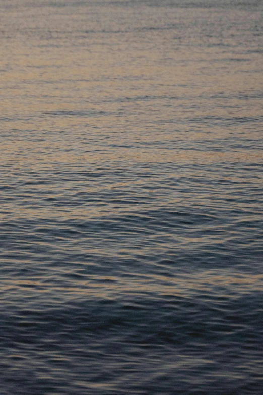 a man riding a surfboard on top of a body of water, inspired by Andreas Gursky, unsplash, tonalism, subtle pattern, evening sunlight, close - up photograph, ((waves