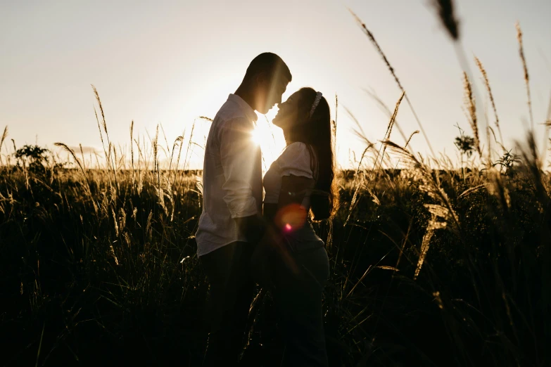 a couple kissing in a field of tall grass, pexels contest winner, beautifully backlit, profile image, rectangle, high quality image