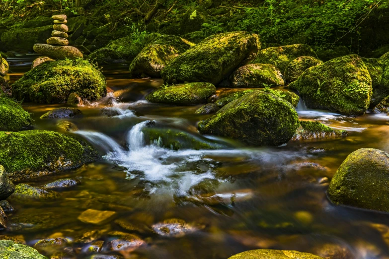 a stream running through a lush green forest, by Daniel Seghers, pexels contest winner, floating rocks, thumbnail, warm glow, wales