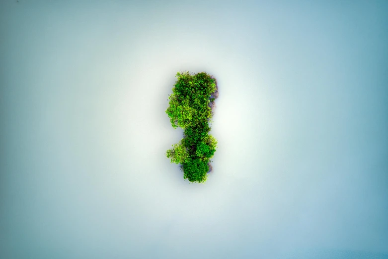 a green plant in the shape of a letter f, an abstract sculpture, by Adam Marczyński, unsplash, environmental art, isometric island in the sky, nature trees, three fourths view, closed ecosystem