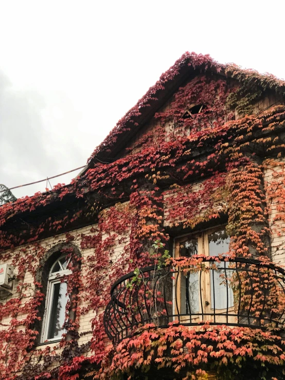 a building with vines growing on the side of it, an album cover, inspired by Mihály Munkácsy, pexels contest winner, fall colors, ukraine. photography, 2 5 6 x 2 5 6 pixels, taken on iphone 14 pro