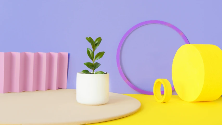 a potted plant sitting on top of a table, a 3D render, inspired by jeonseok lee, trending on pexels, postminimalism, muted rainbow tubing, yellow purple, circle forms, bright white porcelain