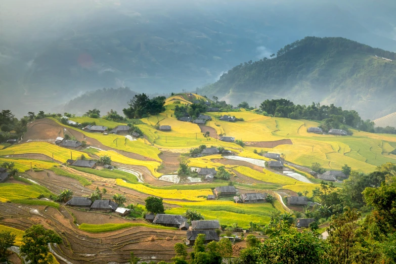 a valley filled with lots of green and yellow fields, pexels contest winner, old asian village, avatar image, gray, golden light