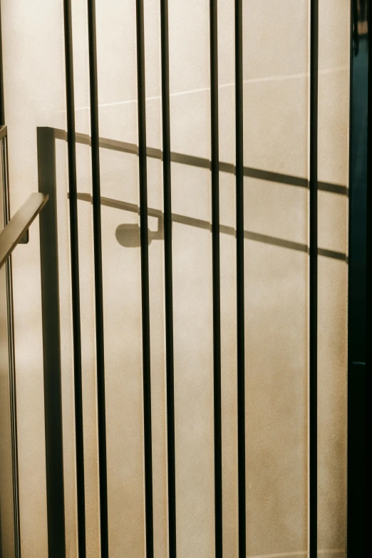 a white toilet sitting inside of a bathroom next to a shower, an album cover, by Doug Ohlson, pexels, modernism, behind bars, iron gate door texture, staircase, back light