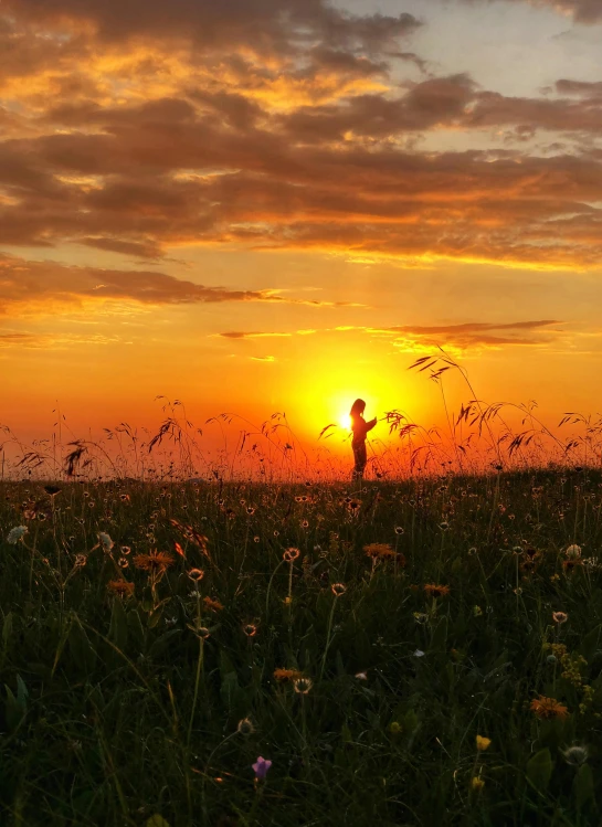 a person standing in a field at sunset, pexels contest winner, fields of flowers, sunset lighting 8k, professional iphone photo, ukraine. photography