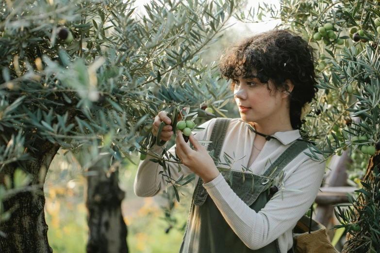 a woman picking olives from an olive tree, inspired by Olive Mudie-Cooke, pexels contest winner, renaissance, finn wolfhard, wearing overalls, avatar image, handsome girl