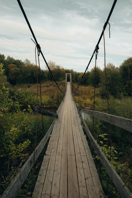 a wooden suspension bridge over a body of water, by Jessie Algie, unsplash, hudson river school, swedish countryside, marsh, ignant, minn