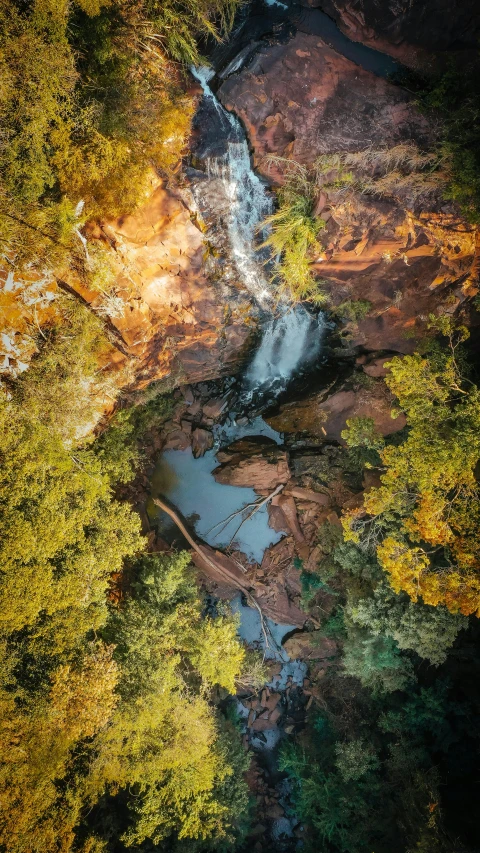 a river running through a lush green forest, a picture, by Lee Loughridge, unsplash contest winner, hurufiyya, australian outback, waterfall below, top down view, golden glow